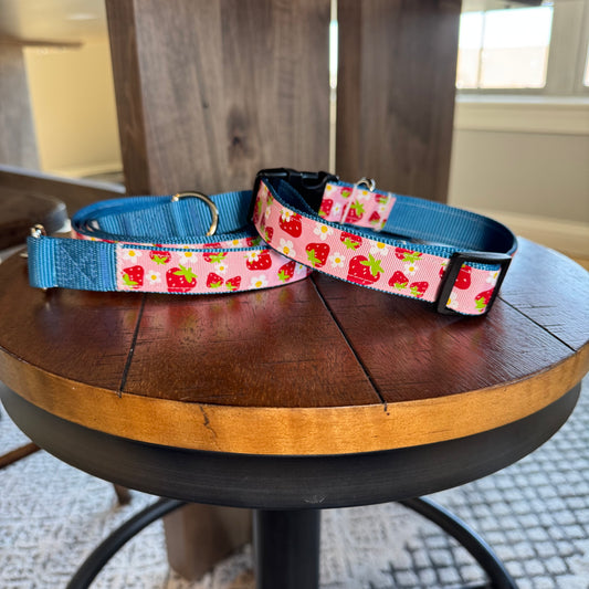 Strawberry Collar & Leash Bundle