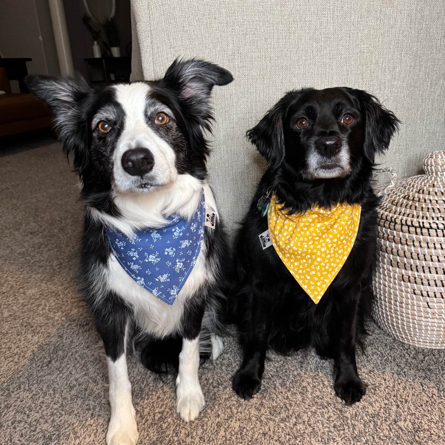 Blue Floral Collar