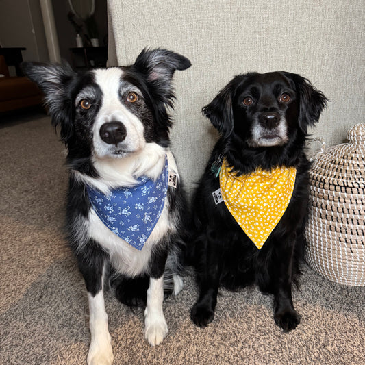 Blue Floral Bandana