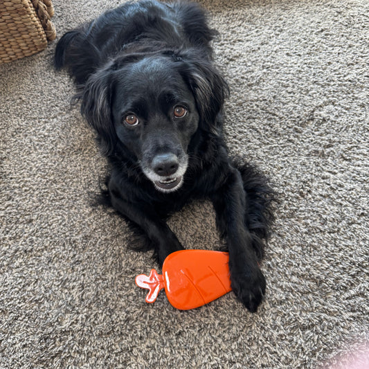 Jax's Crisp Carrot