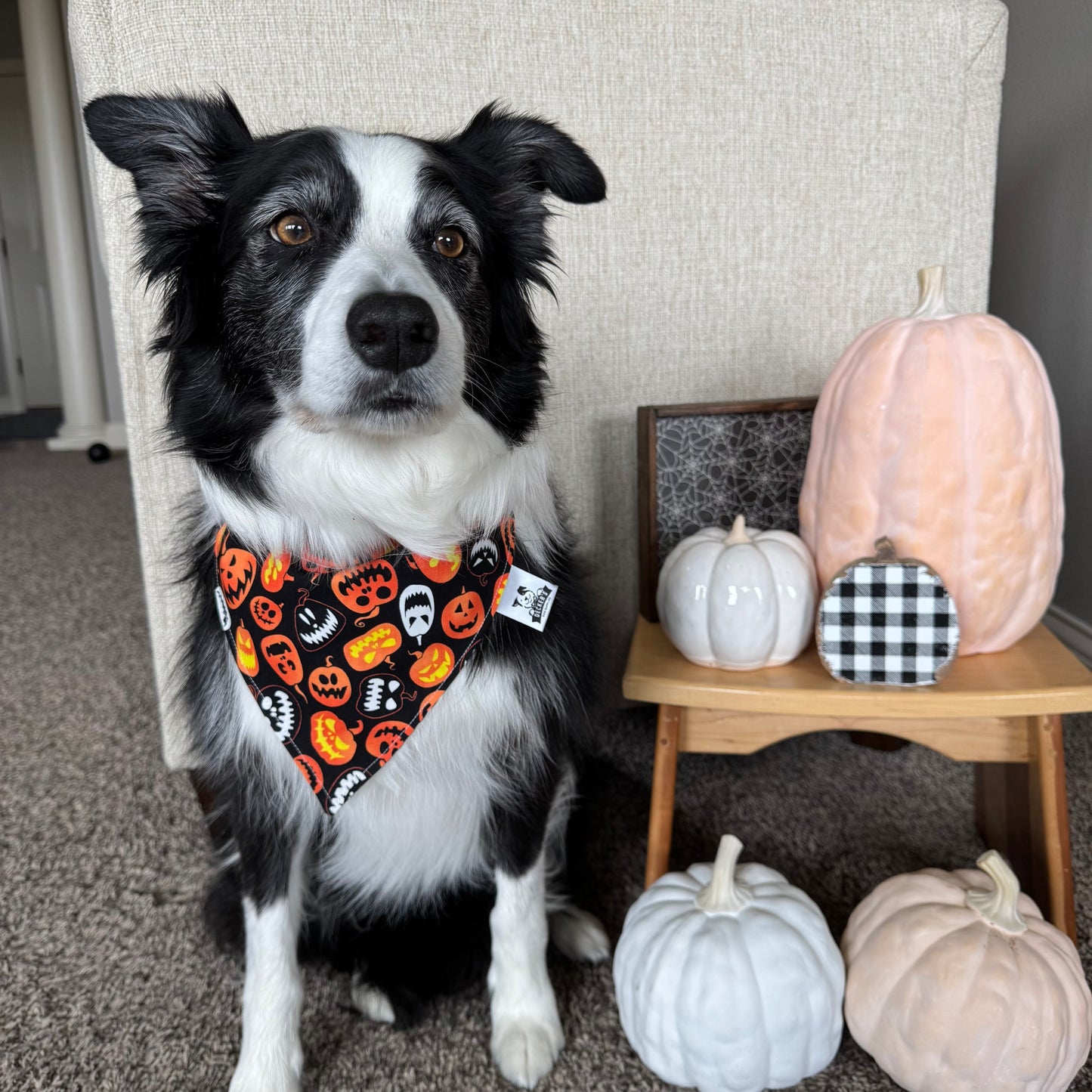 Glow In The Dark Jack-O-Lantern Bandana