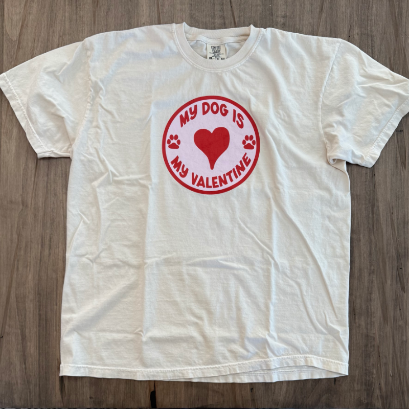 My dog Is My Valentine T-Shirt