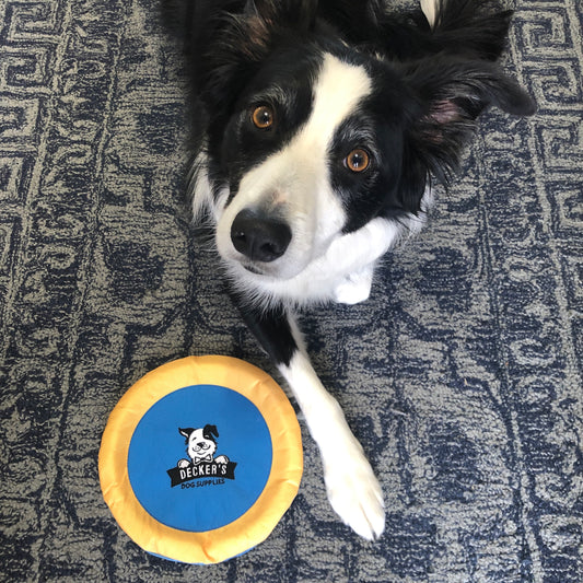 Flying Frisbee
