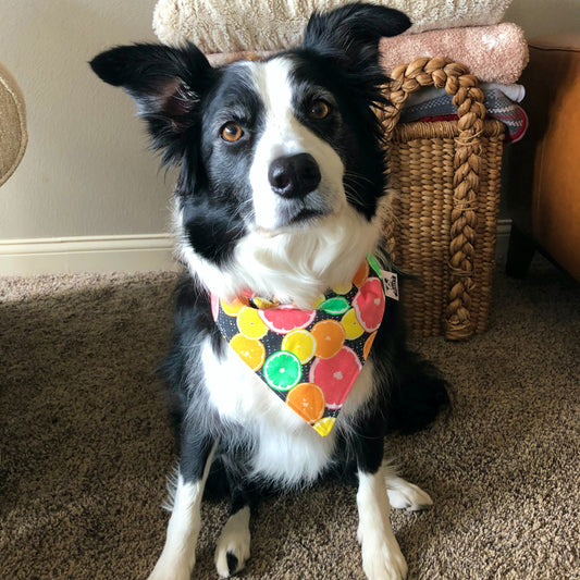 Decker's Citrus Sunshine Bandana
