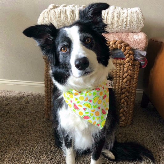 Decker's Fruity Fiesta Bandana