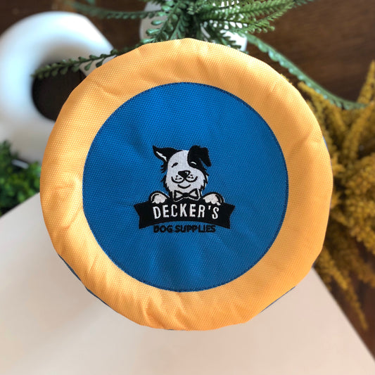 Flying Frisbee