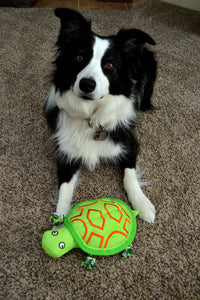 Turtle Tug - Dog Toy