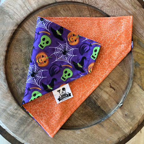 Webs and Witches Bandana
