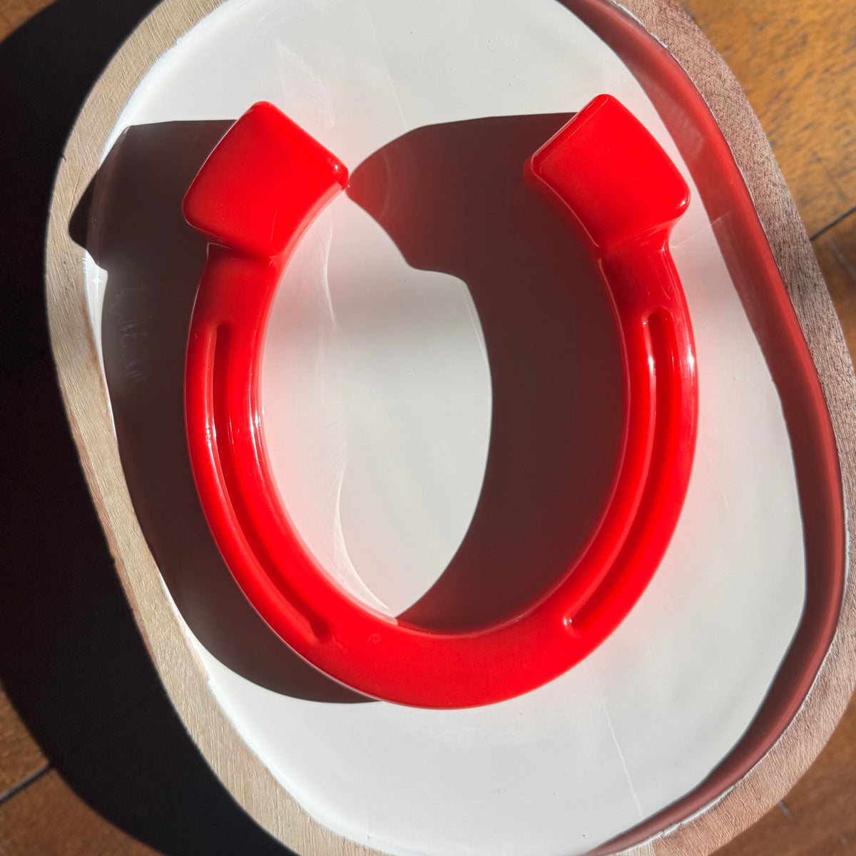 Decker's Lucky Horseshoe