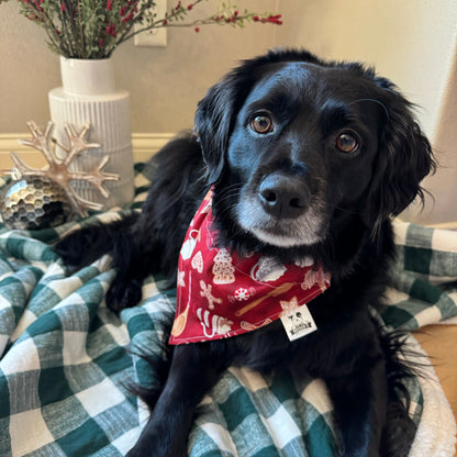 Gingerbread and Hot Cocoa Bandana