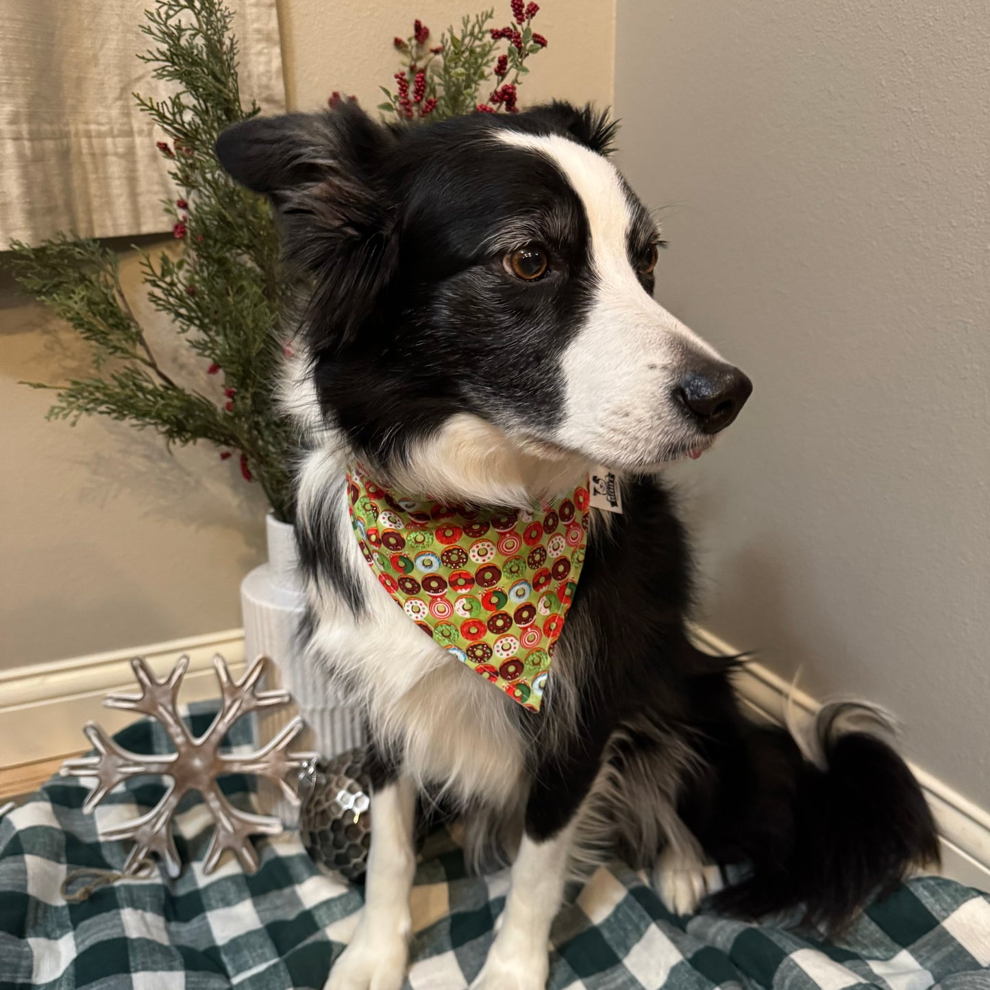 Donuts and Christmas Dots Bandana