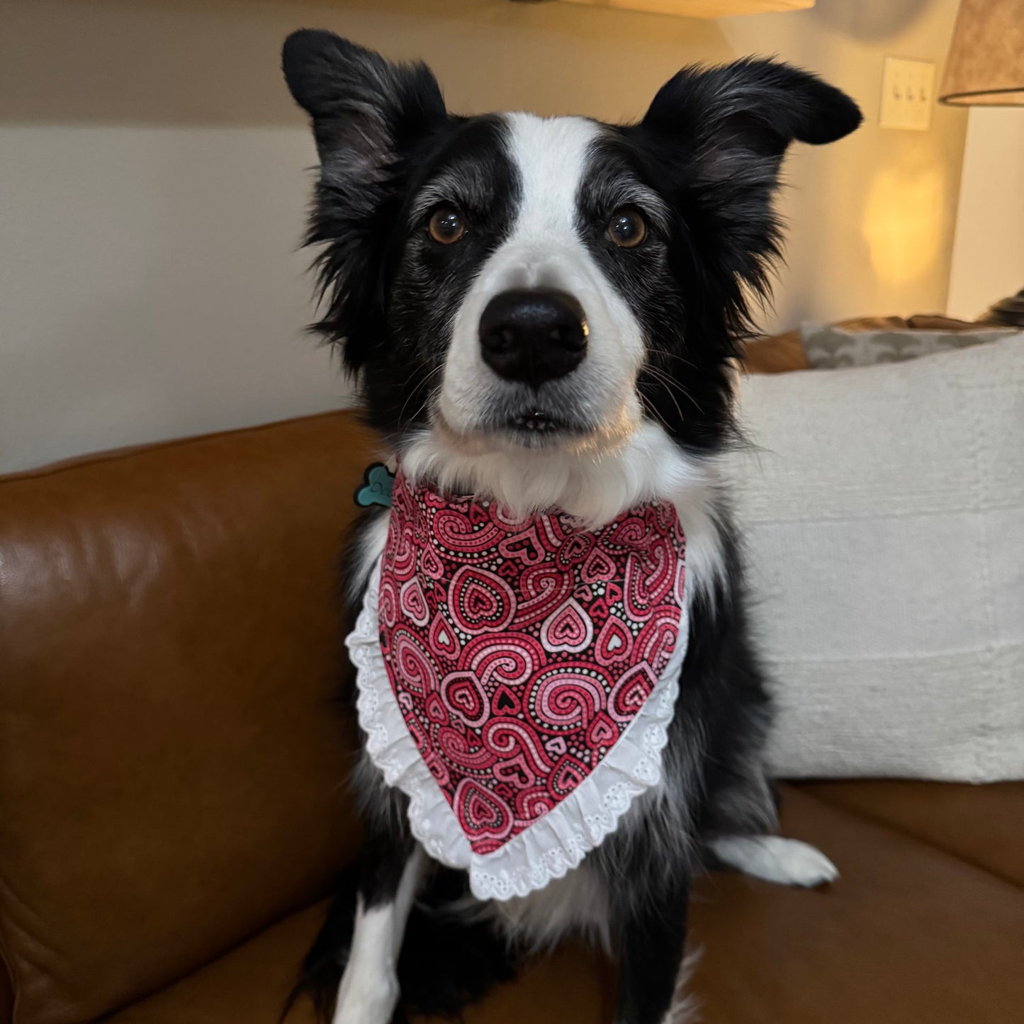 Paisley Hearts and White Dots Bandana