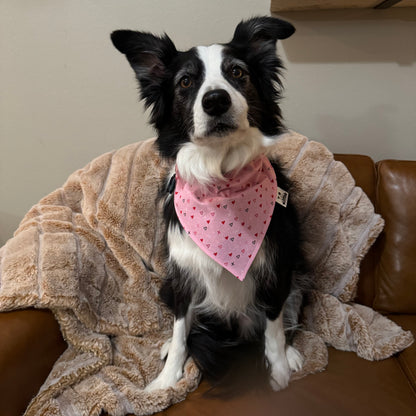 Small Hearts on Pink and Valentine colored Dots Bandana