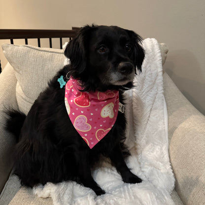 Sugar Cookie Hearts and Pink Dots Bandana