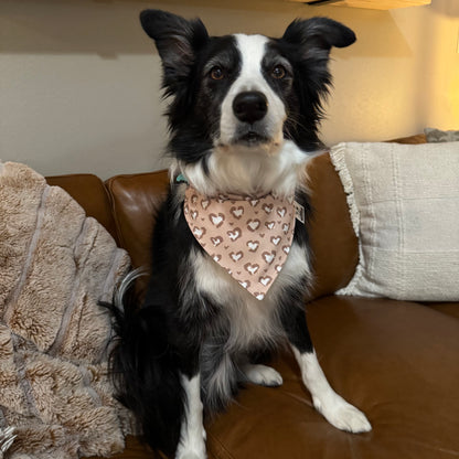 Brown Hearts and Brown Field Flowers Bandana