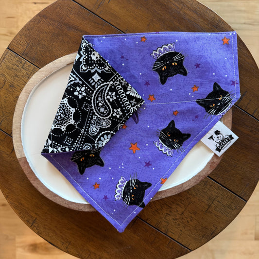 Black Cats Bandana