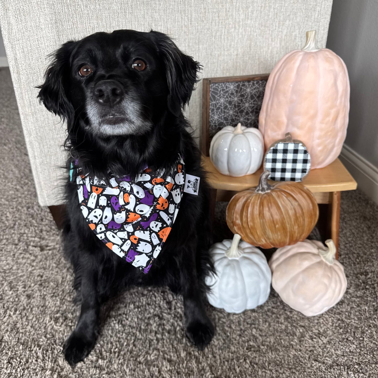 Glow In The Dark Ghosts and Ghouls Bandana