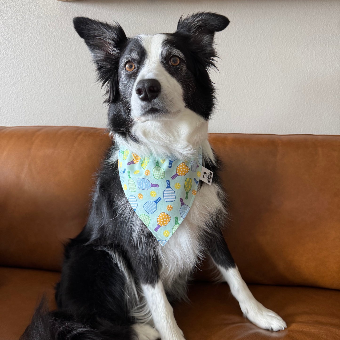 Pickle Ball Paddle Bandana