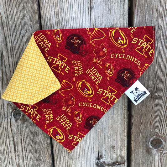 Horse Shoe Donation - Iowa State Bandana