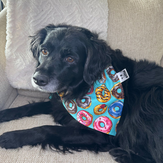 Frosted Donuts Bandana