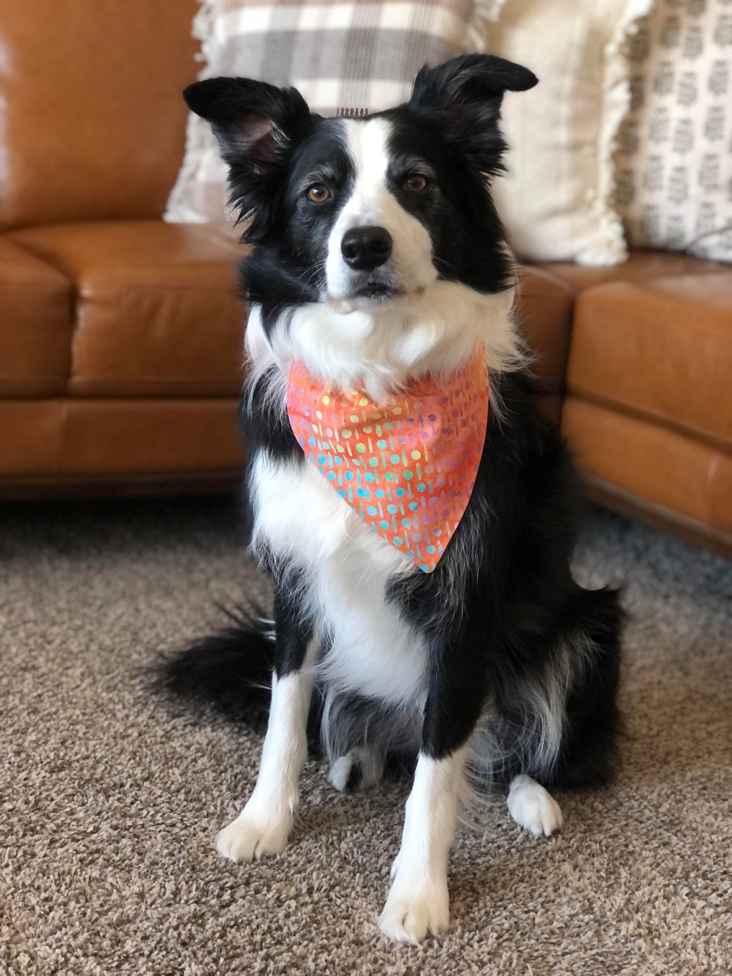 Peachy Dog Bandana