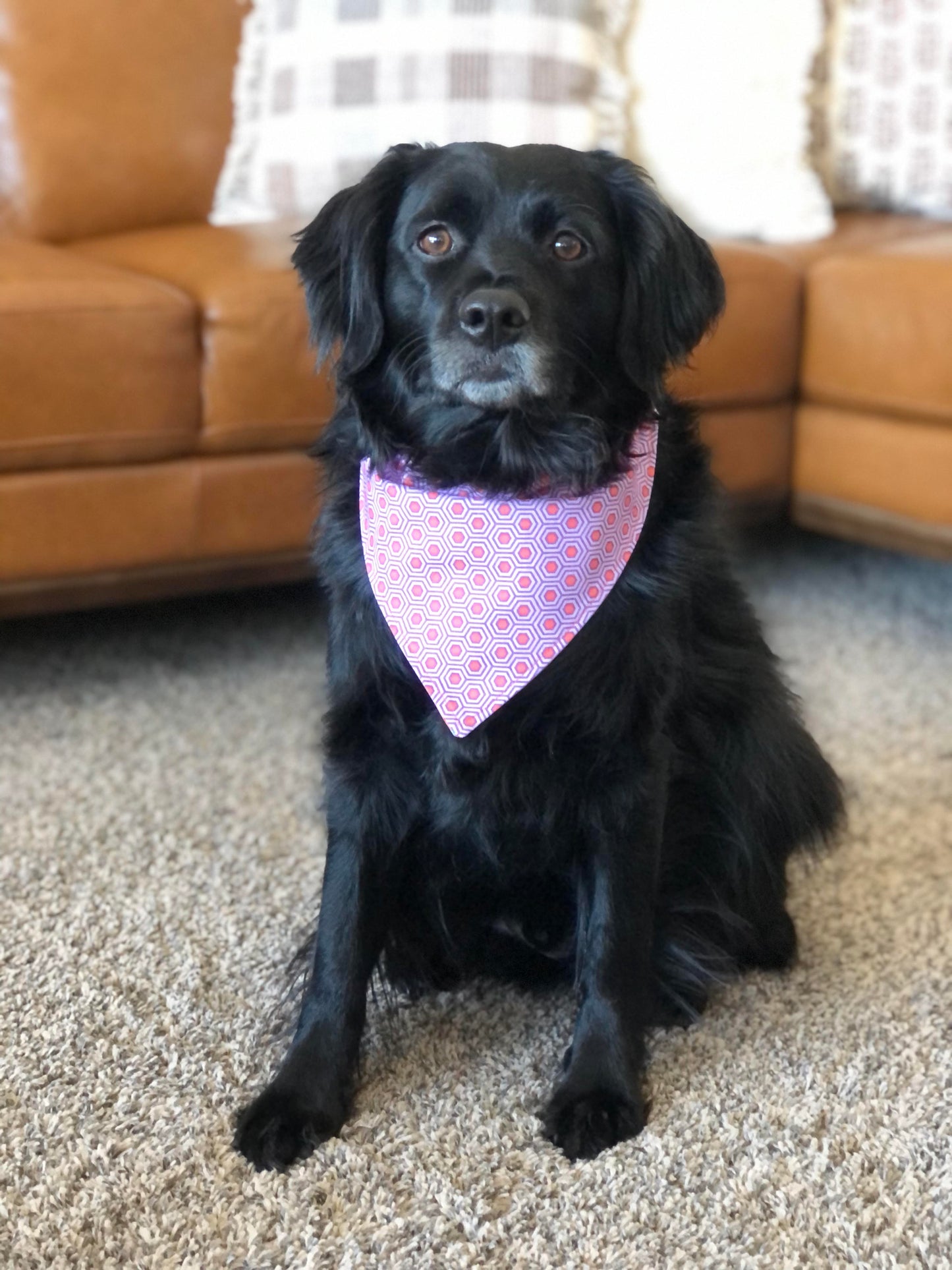 Peachy Dog Bandana